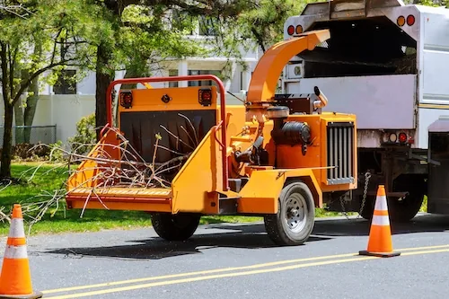 Stump Grinding and Removal